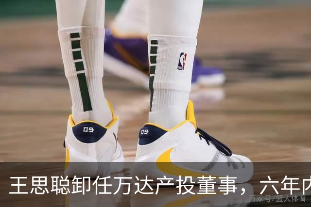 王思聪卸任万达产投董事，六年内已三度退出“万达系”决策层